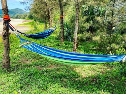 a blue hammock hanging from a tree next to a road at Le Grand Bleu in Amami