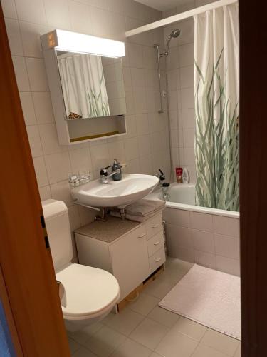 A bathroom at Apartment Résidence Sonnegg - Reimers - Vogel