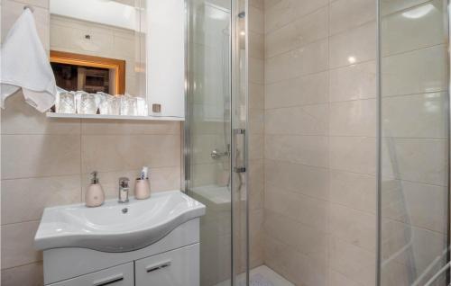 uma casa de banho com um lavatório e um chuveiro em Lovely Home In Ogulin With Wifi em Ogulin