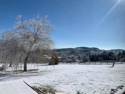 ein schneebedecktes Feld mit einem Baum und einem Zaun in der Unterkunft Les Fermes de Manat gîte romantique avec piscine balnéo et sauna 