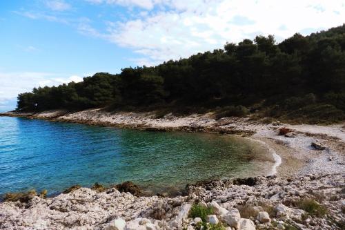 a beach with rocks and water and trees at Apartments by the sea Cove Donja Kruscica - Donja Krusica, Solta - 15636 in Grohote
