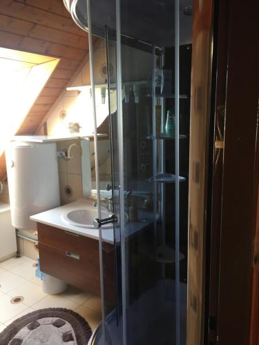 a bathroom with a sink and a glass shower at Apartment U Malše 12 in České Budějovice