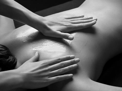Clientes alojados en HÔTEL & SPA Panorama 360