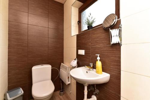 a bathroom with a toilet and a sink at Holiday House Strawberry in Druskininkai