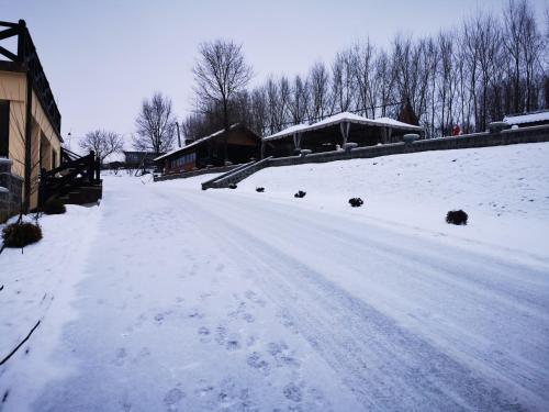 a snow covered road with footprints in a yard at Pensiunea Emris in Spătac