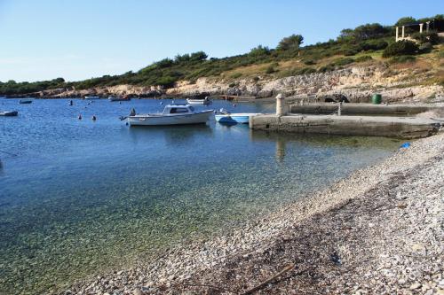 a group of people in the water at a beach at Apartments by the sea Rukavac, Vis - 2478 in Rukavac