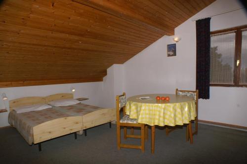 Apartments by the sea Umag - 2549