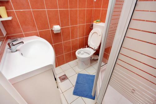 a small bathroom with a toilet and a sink at Apartments by the sea Selce, Crikvenica - 4801 in Selce