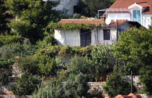 Apartments with parking space Maslinica, Solta - 5176