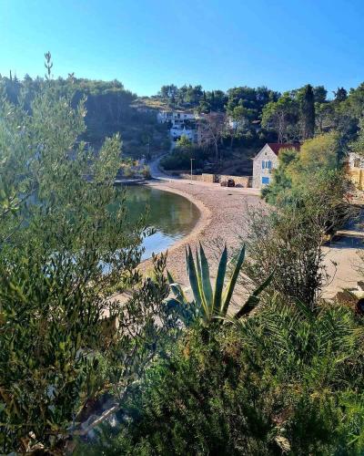 Φυσικό τοπίο κοντά σε αυτό το διαμέρισμα