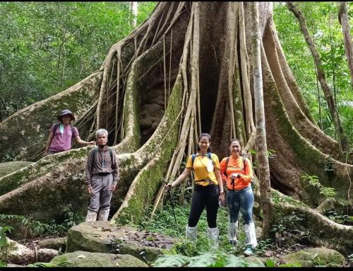 a group of people standing in front of a tree at Pakchong hostel & wildlife tour in Pak Chong