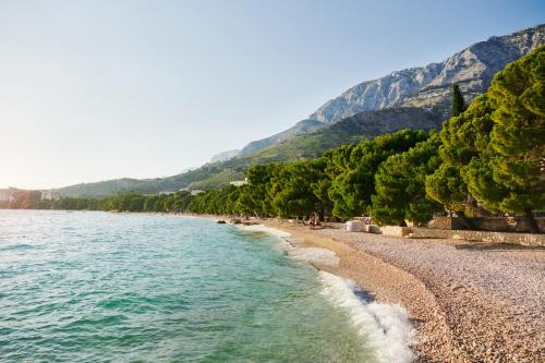 a beach with a rocky shoreline and trees at Bluesun Holiday Village Afrodita in Tučepi