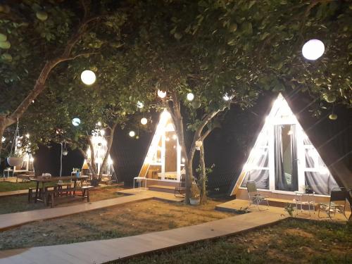 a group of tents under a tree at night at Tam Tinh Vien Homestay in Hue