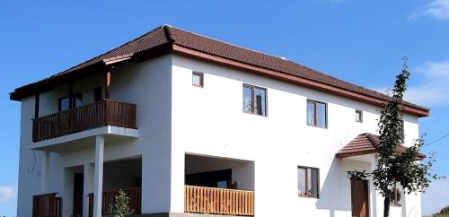 a white house with a brown roof at Casuta de la Munte in Sfodea