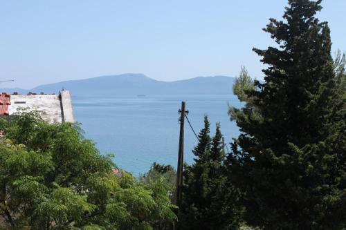 Φυσικό τοπίο κοντά σε αυτό το διαμέρισμα