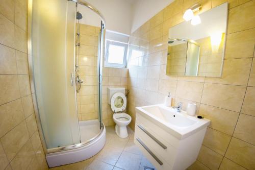 Bilik mandi di Apartments by the sea Mandre, Pag - 6516