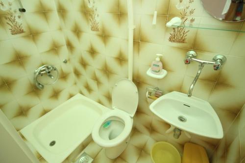uma casa de banho com um WC e um lavatório em Apartments by the sea Podgora, Makarska - 6780 em Podgora