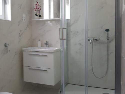 Kúpeľňa v ubytovaní Apartments by the sea Starigrad, Paklenica - 6621