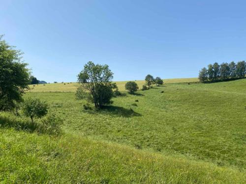 a field of green grass with trees in it at Chalupa Lilien pod Medvědí skálou Jeseníky in Jindřichov