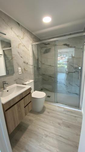 a bathroom with a shower and a toilet and a sink at Camiño da Praia in Redondela
