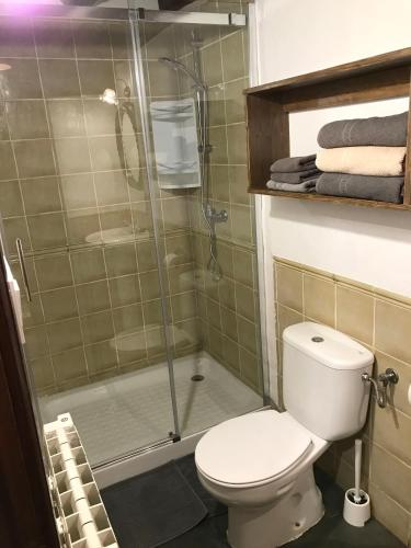 a bathroom with a toilet and a glass shower at Arties Centro 2 habitaciones, exclusivo familias in Arties