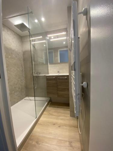 La salle de bains est pourvue d'une douche et d'une douche vitrée. dans l'établissement Mazet Tahiti Parc, au Lavandou