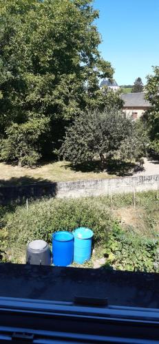 聖薩蒂爾的住宿－Calme en sancerrois，坐在院子里的三桶蓝色桶