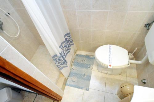 La salle de bains est pourvue de toilettes et d'un rideau de douche. dans l'établissement Holiday house with WiFi Zrnovo, Korcula - 4876, à Korčula