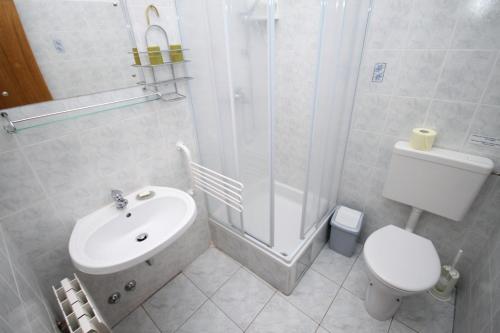 a bathroom with a shower and a toilet and a sink at Rooms with a parking space Gornje selo, Solta - 5170 in Grohote