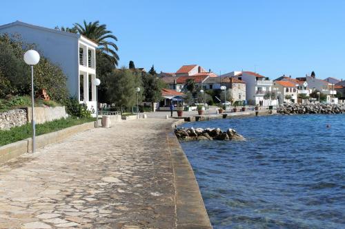 a group of birds sitting in the water next to a river at Rooms with WiFi Zadar - Diklo, Zadar - 19877 in Zadar