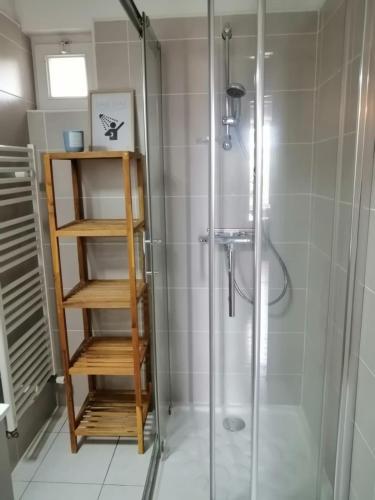 une cabine de douche avec une porte vitrée dans une salle de bain dans l'établissement Jolie maison de ville avec un extérieur au calme - Les Dragons de la Chamoiserie NIORT, à Niort
