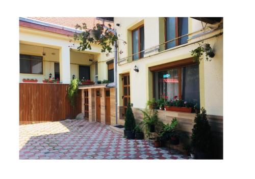a house with a courtyard with potted plants and a fence at Charlietown in Satu Mare