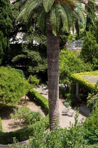 a palm tree in the middle of a garden at Ca'n Puig de Sòller in Sóller