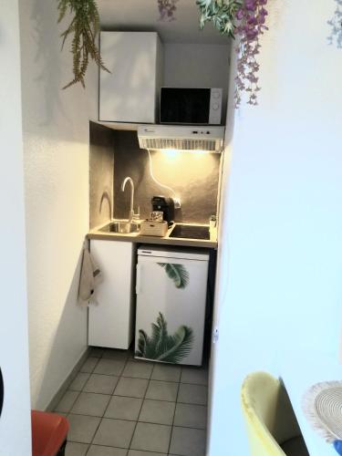 une petite cuisine avec un évier et une cuisinière dans l'établissement Jungle studio proche de la gare, à Grenoble