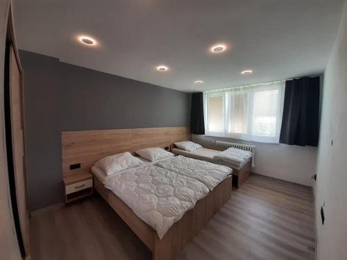 a bedroom with two beds and a window at Čertovy proudy in Loučovice