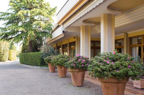 a row of potted plants in front of a building at Hotel Terme Antoniano in Montegrotto Terme