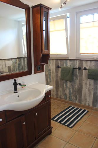 a bathroom with a sink and a shower at Ferienwohnung Störtebeker in Sandesneben