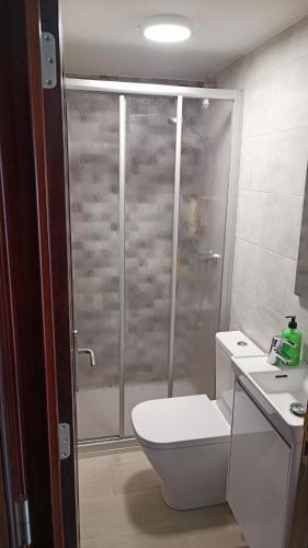 a bathroom with a shower with a toilet and a sink at Precioso estudio en Cedeira. in Cedeira