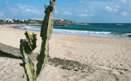 Villa Bella Lanzarote – Photos 3