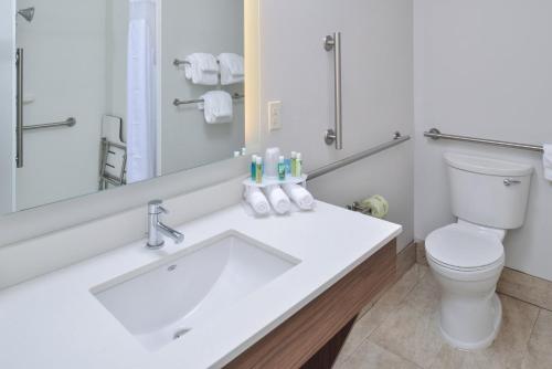 uma casa de banho com um lavatório, um WC e um espelho. em Holiday Inn Express & Suites Farmington Hills - Detroit, an IHG Hotel em Farmington Hills