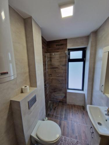 e bagno con servizi igienici, lavandino e doccia. di Nina Apartman 2 a Soko Banja