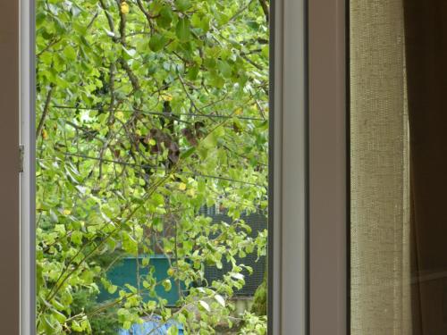 Galería fotográfica de Cottage house en K'eda
