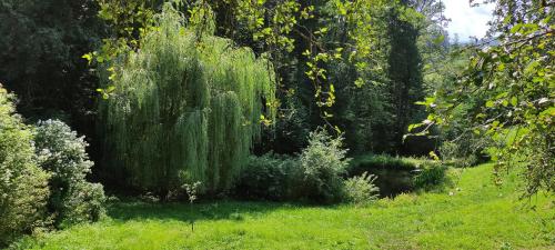 a garden with tall green grass and trees at Fuchsbauerhof - Ferienwohnung in Kniezenberg
