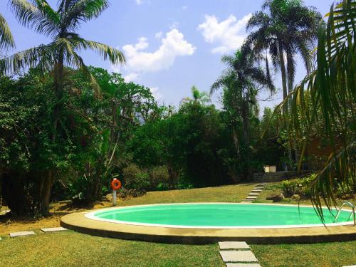 a small pool in the middle of a yard with palm trees at Pousada Penedo in Penedo