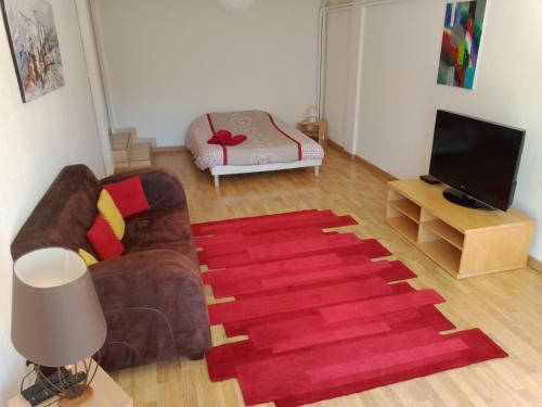 - un salon avec un canapé et un tapis rouge dans l'établissement Terrace Flat Near The City Centre, à Brives-Charensac