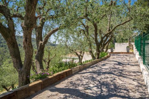 Gallery image of Villa des Oliviers in Nice