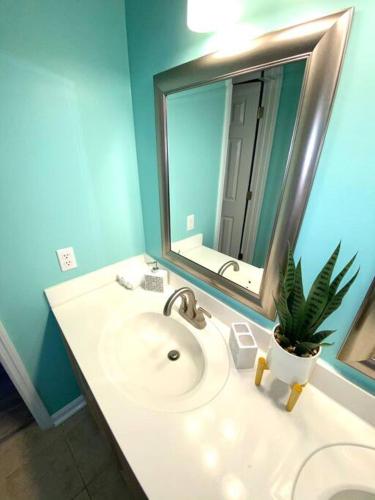 a bathroom with a sink with a mirror and a potted plant at The Best Getaway Friends & Family Hangout!!! in Jacksonville
