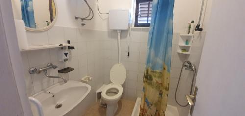 Kúpeľňa v ubytovaní Apartmani Marijan Zavala-istok