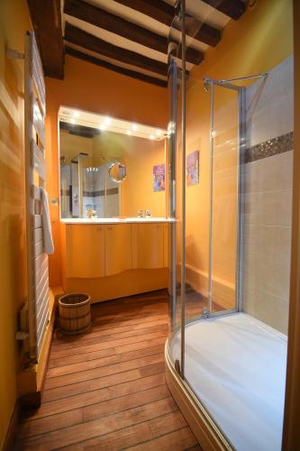 a bathroom with a shower stall and a sink at Les Falaises de l'Estran in Dieppe