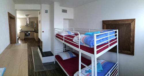 Apartmán Pasohlávky في باسوهلافكي: سريرين بطابقين في غرفة